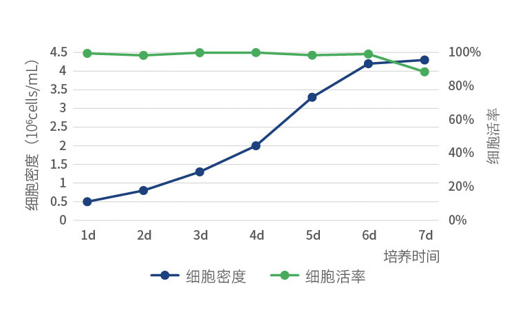 MDBK細(xì)胞搖瓶生長數(shù)據(jù).jpg